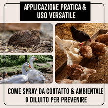 Carica l'immagine nel visualizzatore di Gallery, AniForte Spray Antiacaro per Polli, Galline e Pollame 500ml – Antiparassitario Contro Acari, Pidocchi e Parassiti, Spray