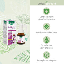 Carica l'immagine nel visualizzatore di Gallery, ESI - Echinaid Spray Gola Analcolico, Integratore Alimentare con Echinacea, Favorisce il Benessere delle Vie Respiratori