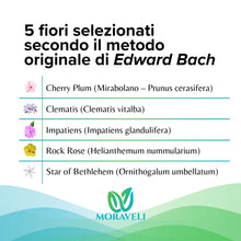 Carica l'immagine nel visualizzatore di Gallery, Fiori di Bach n.39 Gocce 50ml Senza Alcool