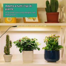 Carica l'immagine nel visualizzatore di Gallery, 4 pezzi Lampada per Piante, 540 LEDs Full Spectrum lampade LED Coltivazione, Lampada di Crescita con Timer Auto, 10 eins