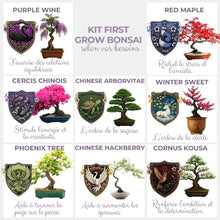 Carica l'immagine nel visualizzatore di Gallery, CULTIVEA Kit First Bonsai – Kit Completo con Semi, Accessori e Guida – Bonsai da Coltivare | Idea Regalo Originale (Cerc