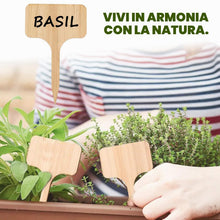 Carica l'immagine nel visualizzatore di Gallery, 40 Pezzi Etichette Per Piante, Bambù Pianta, Accessori da Giardino, Etichette a Forma di T, Cartellini per Impermeabili,