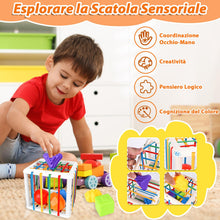Carica l'immagine nel visualizzatore di Gallery, 6 in 1 Giocattolo Montessori per Bambini, Giochi Neonato da 6 a 12 Mesi