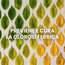 Carica l'immagine nel visualizzatore di Gallery, Il Paese Verde Iron Max, 5kg