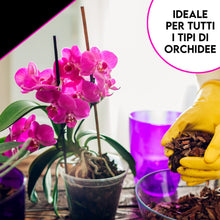 Carica l'immagine nel visualizzatore di Gallery, ZOMAGARDEN - Bark per Orchidee Premium - Corteccia Naturale per Orchidee - Lavata, Sterilizzata, 100% Ecologica - 2L (10