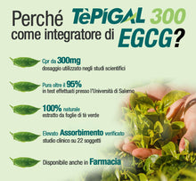 Carica l'immagine nel visualizzatore di Gallery, EGCG da tè verde ≥95% - Stimolante metabolico, blocca-fame, energizzante