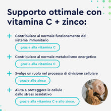 Carica l'immagine nel visualizzatore di Gallery, Vitamina C, 180 Capsule, 500 mg + Zinco 10 mg, Qualità Testata Premium, Scorta 6 mesi, Integratore Difese Immunitarie, V
