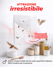 Carica l'immagine nel visualizzatore di Gallery, PIC Trappole Farfalline Alimentari 12x – Antitarme per Cucina e Dispensa