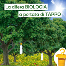 Carica l'immagine nel visualizzatore di Gallery, Mastertec Master Trap, 10 Pezzi, Trappole Cromotropiche Gialle Ecologiche