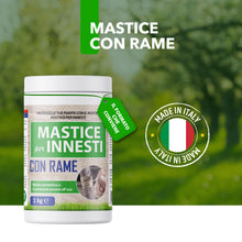 Carica l'immagine nel visualizzatore di Gallery, Mastice Per Innesti E Potature - Con Rame - Antibatterico Pasta Cicatrizzante Curativa Per Ferite Piante Alberi Arbusti 