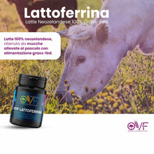 Carica l'immagine nel visualizzatore di Gallery, OVF Lattoferrina 200 immuno, 60 capsule da 200mg (2 mesi di fornitura), Latte Proveniente dalla Nuova Zelanda, da mucche