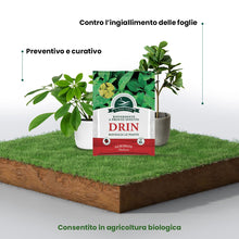 Carica l'immagine nel visualizzatore di Gallery, Il Paese Verde Drin Ferro Chelato, 10g