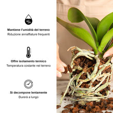 Carica l'immagine nel visualizzatore di Gallery, Kalapanta Bark per Orchidee Linea Professionale, 2 Litri, Pezzatura 5-15 mm, Substrato a Base di Corteccia di Pino Marit