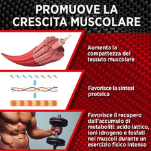 Carica l'immagine nel visualizzatore di Gallery, Turkesterone - Testosterone uomo - precursore nad, nmn integratore CORDYCEPS ASHWAGANDHA integratore sessuale uomo