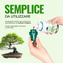 Carica l'immagine nel visualizzatore di Gallery, CIFO - Concime Liquido per Bonsai 200 ml, per Bonsai da Interno e da Esterno, Nutrienti di Alto Livello Specifici per Bo