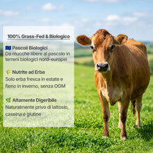 Carica l'immagine nel visualizzatore di Gallery, Exponatura Ghee Biologico - Burro Chiarificato da Mucche al Pascolo 500g