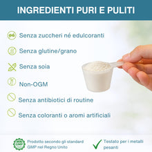 Carica l'immagine nel visualizzatore di Gallery, Igennus 100% Collagene Idrolizzato, Peptidi di Collagene Grass Fed, 400gr
