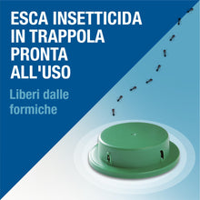 Carica l'immagine nel visualizzatore di Gallery, Forminix Box Verde elimina formiche all’esterno. Esca al miele altamente attrattiva, Elimina il nido in breve tempo, Ide