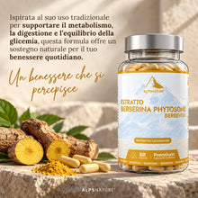 Carica l'immagine nel visualizzatore di Gallery, ALPS NATURE Berberine Fitosomada Berbevis® 600 mg – 60 Capsule per 30 giorni - Berberina Liposomiale Pura - Berberina ad