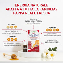 Carica l'immagine nel visualizzatore di Gallery, Equilibra Pappa Reale Fresca, 10 Flaconcini, con Vitamina B