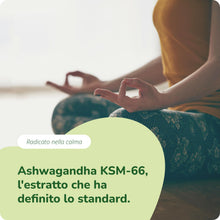 Carica l'immagine nel visualizzatore di Gallery, Ashwagandha KSM-66 Pura BIO | 600 mg per dose giornaliera | Alto Dosaggio di Withania Somnifera con 5% di Withanolidi | 
