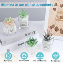 Carica l'immagine nel visualizzatore di Gallery, Pietre Decorative 10000 Pezzi Pietre da Giardino Pietre Luminose Giardino