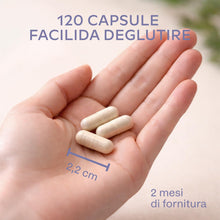 Carica l'immagine nel visualizzatore di Gallery, Cardo Mariano Fegato 80% Silimarina | Integratore Fegato e Intestino, 600mg Estratto di Cardo Mariano Tarassaco e Carcio