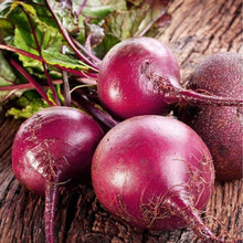 Carica l'immagine nel visualizzatore di Gallery, Nojus - Set di semi da collezione di ortaggi ed erbe - 16 confezioni - Starter kit di semi di piante varie - Sementi da 