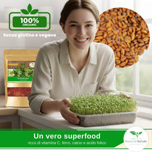 Carica l'immagine nel visualizzatore di Gallery, Magic of Nature: 1kg Semi di Crescione - Formato Scorta