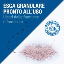 Carica l'immagine nel visualizzatore di Gallery, protect home FORMINIX Esca FORMICHE GRANULARE. ELIMINA Il Nido RISOLVENDO Il Problema 500g, Granulo Rosa
