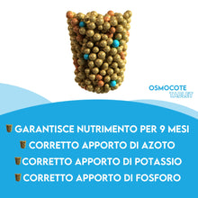Carica l'immagine nel visualizzatore di Gallery, ZOMA ZOMAGARDEN Concime per Laghetti E Piante Acquatiche Nutrizione Essenziale e Crescita Straordinaria per Ninfee E Pia