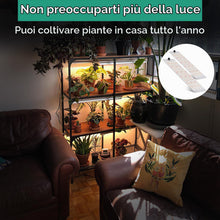 Carica l'immagine nel visualizzatore di Gallery, 4 pezzi Lampada per Piante, 540 LEDs Full Spectrum lampade LED Coltivazione, Lampada di Crescita con Timer Auto, 10 eins