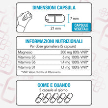 Carica l'immagine nel visualizzatore di Gallery, Magnesio Pidolato Puro 300 mg PiùLife con B1 B5 B6, 180 Capsule