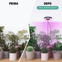 Carica l'immagine nel visualizzatore di Gallery, 42 LEDs Lampada per Piante a Spettro Completo Regolabile in Altezza, 1Pc