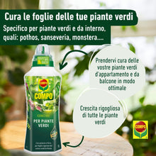 Carica l'immagine nel visualizzatore di Gallery, COMPO Concime Liquido Per Piante Verdi, Per piante da Appartmento, 1L