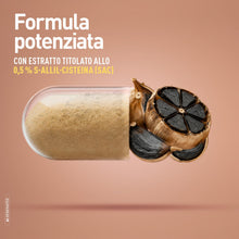 Carica l'immagine nel visualizzatore di Gallery, LongLife® Aglio Nero | Titolato 0,5% in SAC | Pressione e lipidi