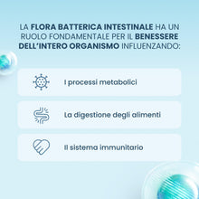 Carica l'immagine nel visualizzatore di Gallery, Enterogermina Benessere Intestinale, Fermenti Lattici Probiotici, Integratori Adulti e Bambini 3+ Favorisce l’Equilibrio
