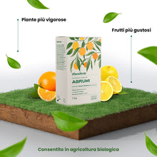 Carica l'immagine nel visualizzatore di Gallery, Il Paese Verde Concime Per Agrumi 1kg - Concime Granulare Per Limoni E Arance. Aiuta Lo Sviluppo Della Pianta E Migliora