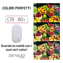 Carica l'immagine nel visualizzatore di Gallery, Sigmaled lighting - Plafoniera Led Esterno Interno 10W IP54, Applique da Parete Esterno con Sensore di Movimento, Luce N
