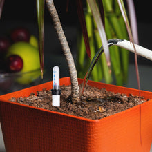 Carica l'immagine nel visualizzatore di Gallery, 10 pezzi 22,8 cm igrometro pianta tester umidità impianto indicatore acqua piante irrigazione piante da interno per fior
