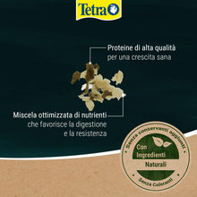 Carica l'immagine nel visualizzatore di Gallery, Tetra Pond Flakes - Mangime in fiocchi per pesci da laghetto, 4 L