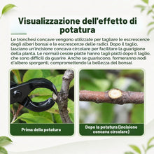 Carica l'immagine nel visualizzatore di Gallery, Taglierina Concava Bonsai, Attrezzi Bonsai Professionale, 210mm Concavo Cutter in Lega di Acciaio al Manganese, per Rimu
