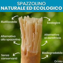 Carica l'immagine nel visualizzatore di Gallery, ORINKO® Siwak Naturale x3 con Custodia x1 - Spazzolino Ecologico per Denti - Miswak Africano per Pulizia, Sbiancamento e