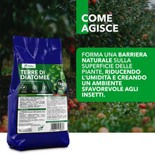 Carica l'immagine nel visualizzatore di Gallery, Terre di Diatomee BioNee – Corroborante Naturale per Piante – Uso Orto e Giardino 1 kg