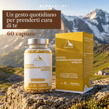 Carica l'immagine nel visualizzatore di Gallery, ALPS NATURE Berberine Fitosomada Berbevis® 600 mg – 60 Capsule per 30 giorni - Berberina Liposomiale Pura - Berberina ad