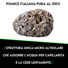 Carica l'immagine nel visualizzatore di Gallery, ZOMA Garden Pomice per Piante, Ideale per Piante Grasse Vere, Bonsai e Orchidee Pietra Inerte per Tutti i Substrati, Alt