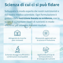 Carica l'immagine nel visualizzatore di Gallery, Igennus 100% Collagene Idrolizzato, Peptidi di Collagene Grass Fed, 400gr