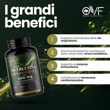 Carica l'immagine nel visualizzatore di Gallery, OVF Quercetina Liposomiale Pura 400 mg, 90 Capsule Vegetali ad Alta Biodisponibilità (Scorta 3 Mesi) Integratore di Quer