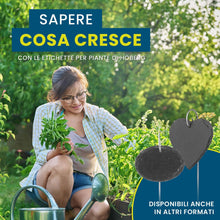 Carica l'immagine nel visualizzatore di Gallery, Hoberg Etichette per piante in ardesia - Set di 10 | Resistenti alle intemperie, riutilizzabili | Etichettatura di piant