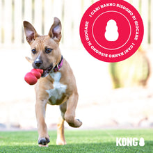 Carica l'immagine nel visualizzatore di Gallery, KONG Classic Giocattolo da Masticare Riempibile per Cani, Taglia Media